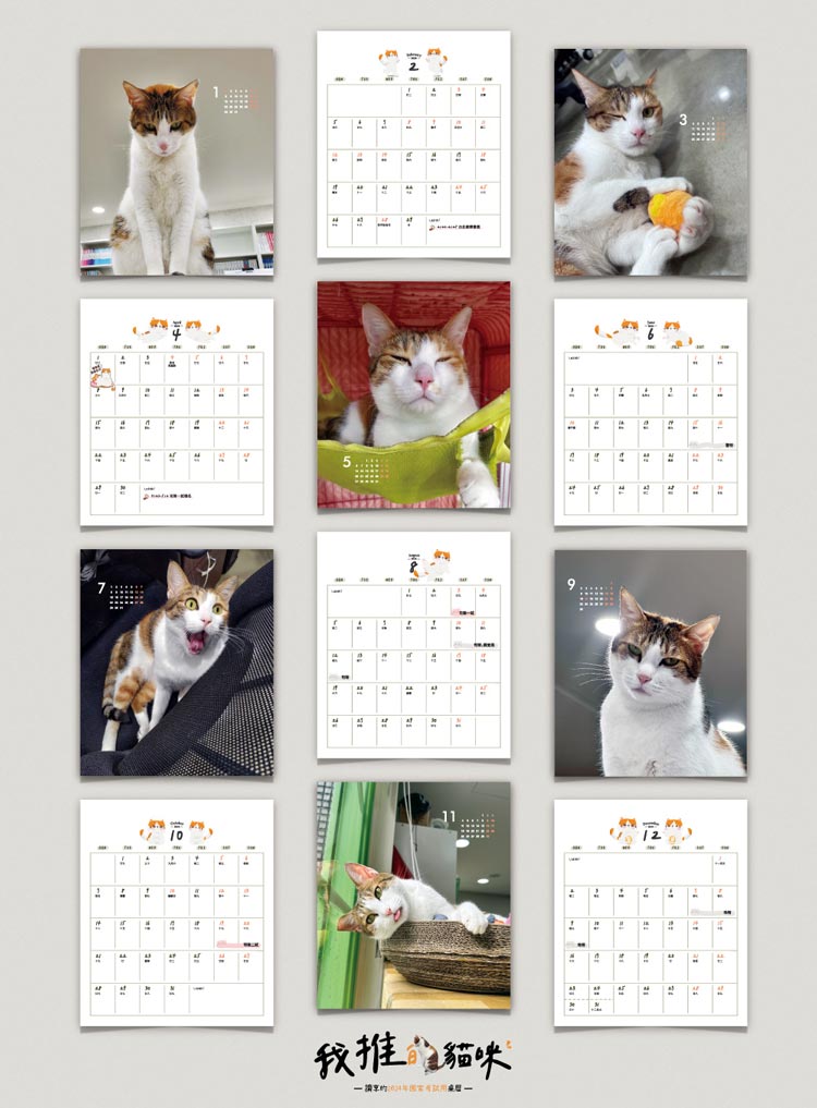 我推的貓咪—讀享的2024年國家考試用桌曆預覽3